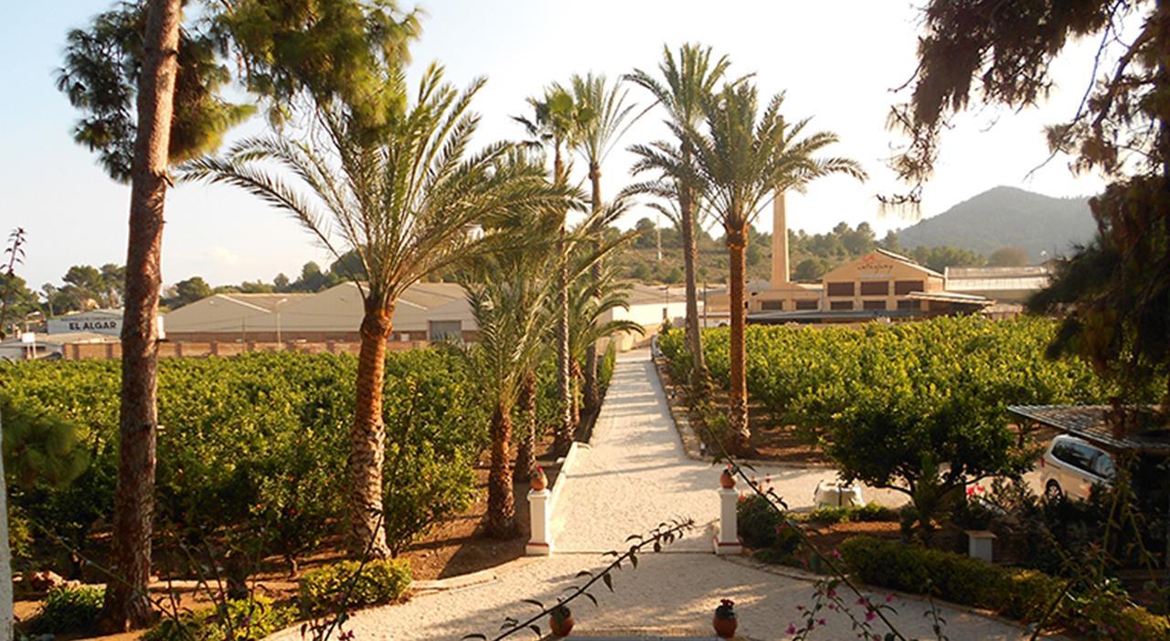 El Sequer Casa Rural Oliva Bagian luar foto